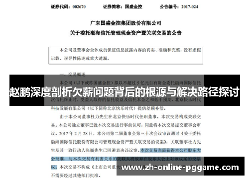 赵鹏深度剖析欠薪问题背后的根源与解决路径探讨