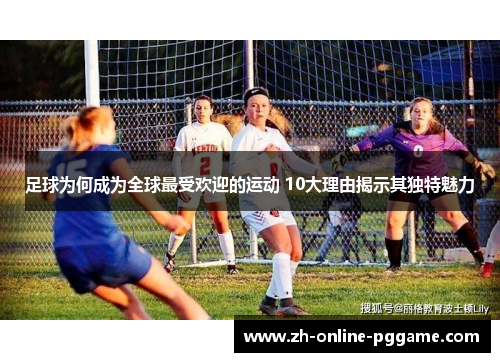 足球为何成为全球最受欢迎的运动 10大理由揭示其独特魅力