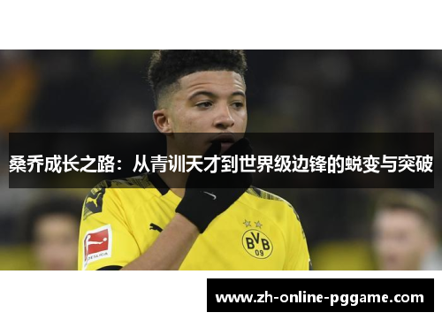桑乔成长之路:从青训天才到世界级边锋的蜕变与突破 桑乔成长之路:从青训天才到世界级边锋的蜕变与突破