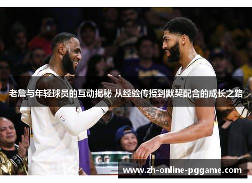 老詹与年轻球员的互动揭秘 从经验传授到默契配合的成长之路 老詹与年轻球员的互动揭秘 从经验传授到默契配合的成长之路