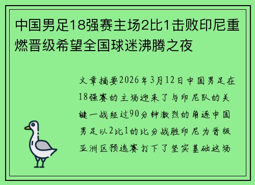 中国男足18强赛主场2比1击败印尼重燃晋级希望全国球迷沸腾之夜