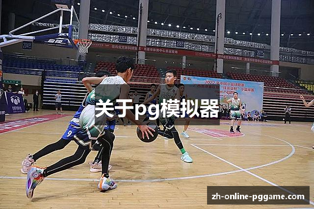 关于pg模拟器
